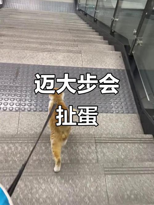 智能化改造：小心步子太大扯着蛋