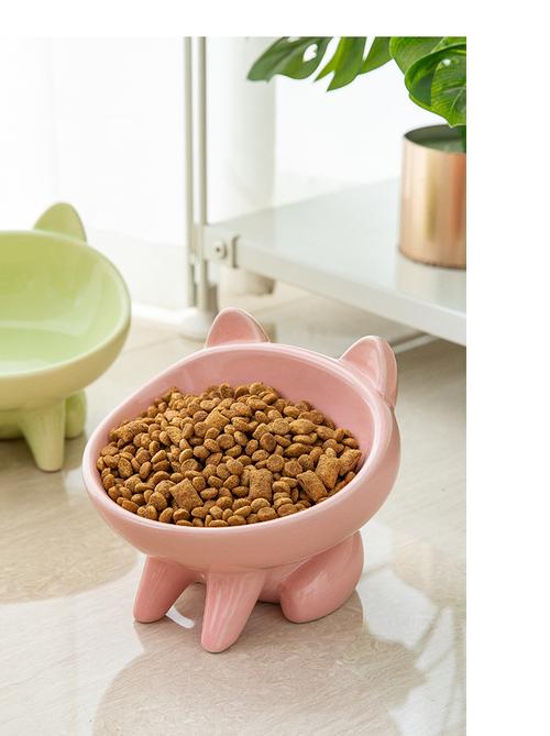 放在猫砂盆旁的家用陶瓷宠物水碗