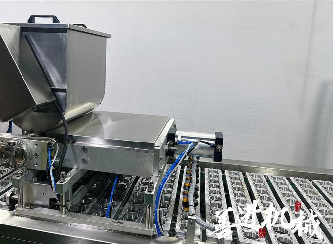 食品厂流水线连续式封口机工作实拍图