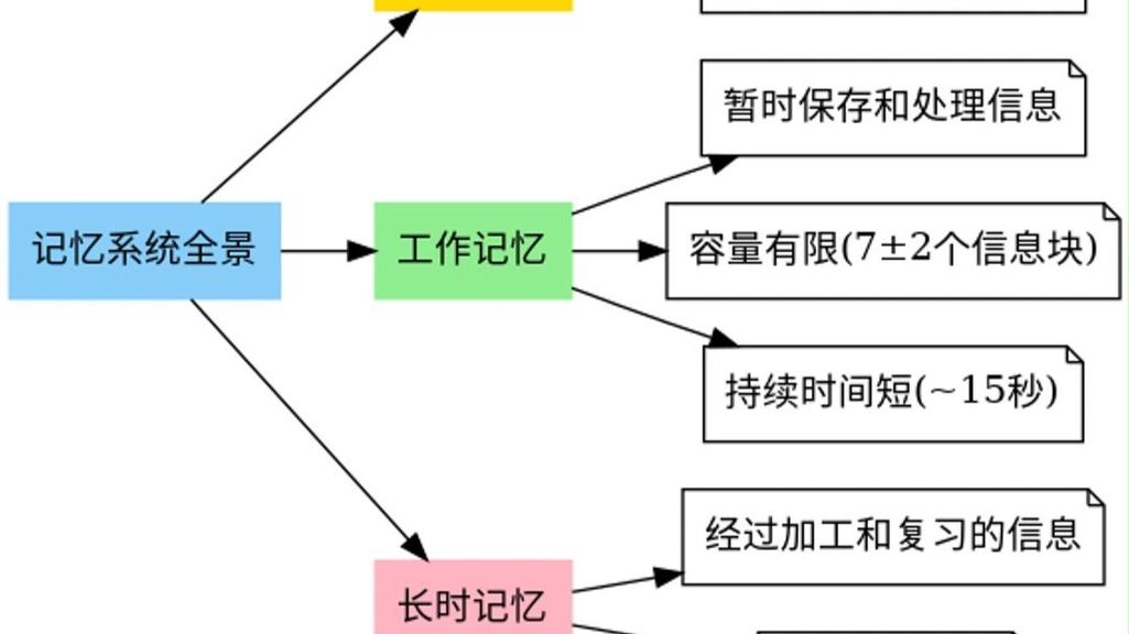 大脑工作记忆长期记忆简化学习任务示意图