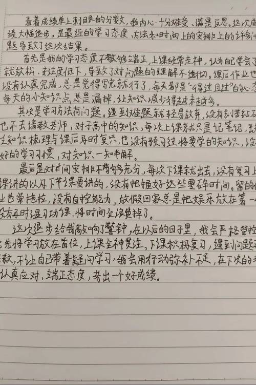 高中生应付作业的假学业反思纸实拍