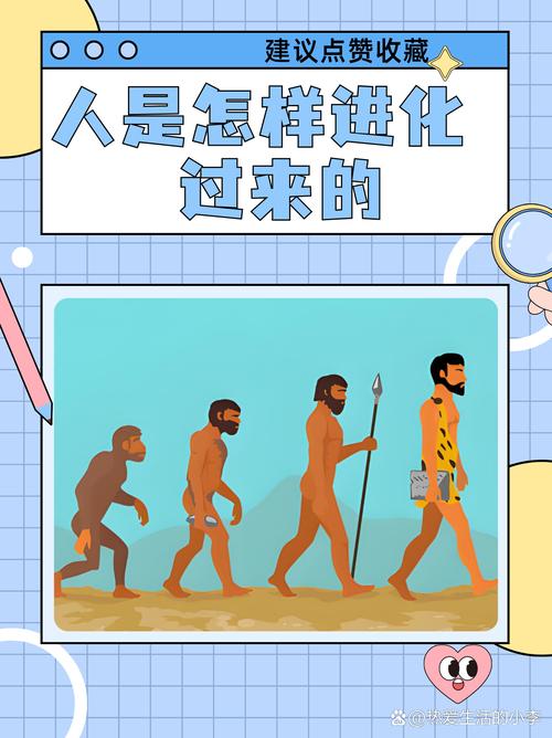 普通人的折腾,才是规则进化的起点