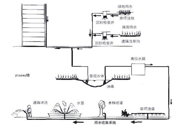 学校楼顶雨水收集与菜园实践系统示意图