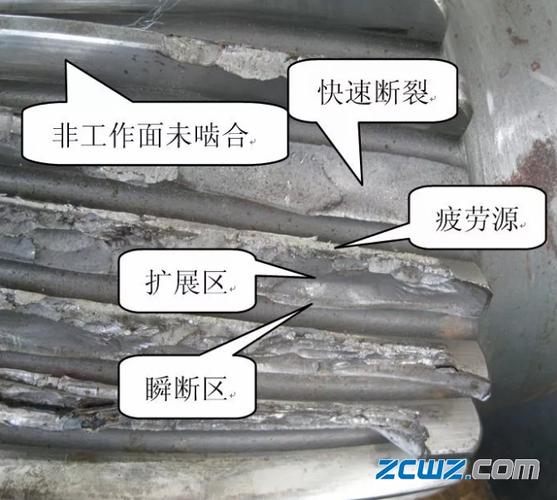 风电齿轮齿根疲劳裂纹宏观照片