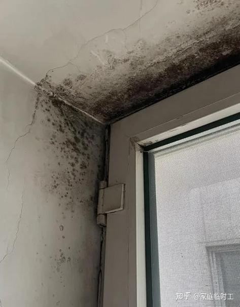 家用阳台卡座受潮鼓边发霉实拍