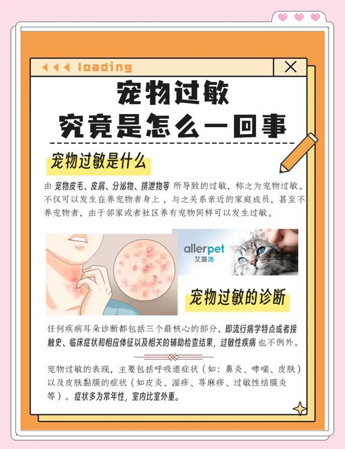 真过敏了,要不要换“低敏宠物”?
