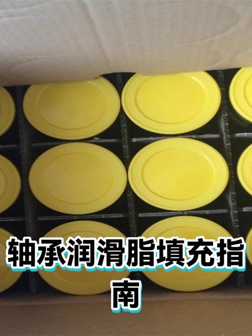 食品包装线轴承手动加注润滑脂