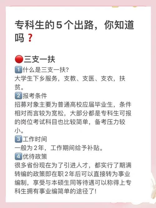 大学生村官期满出路选择多