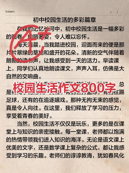 那些真正“活”起来的校园,做对了什么?