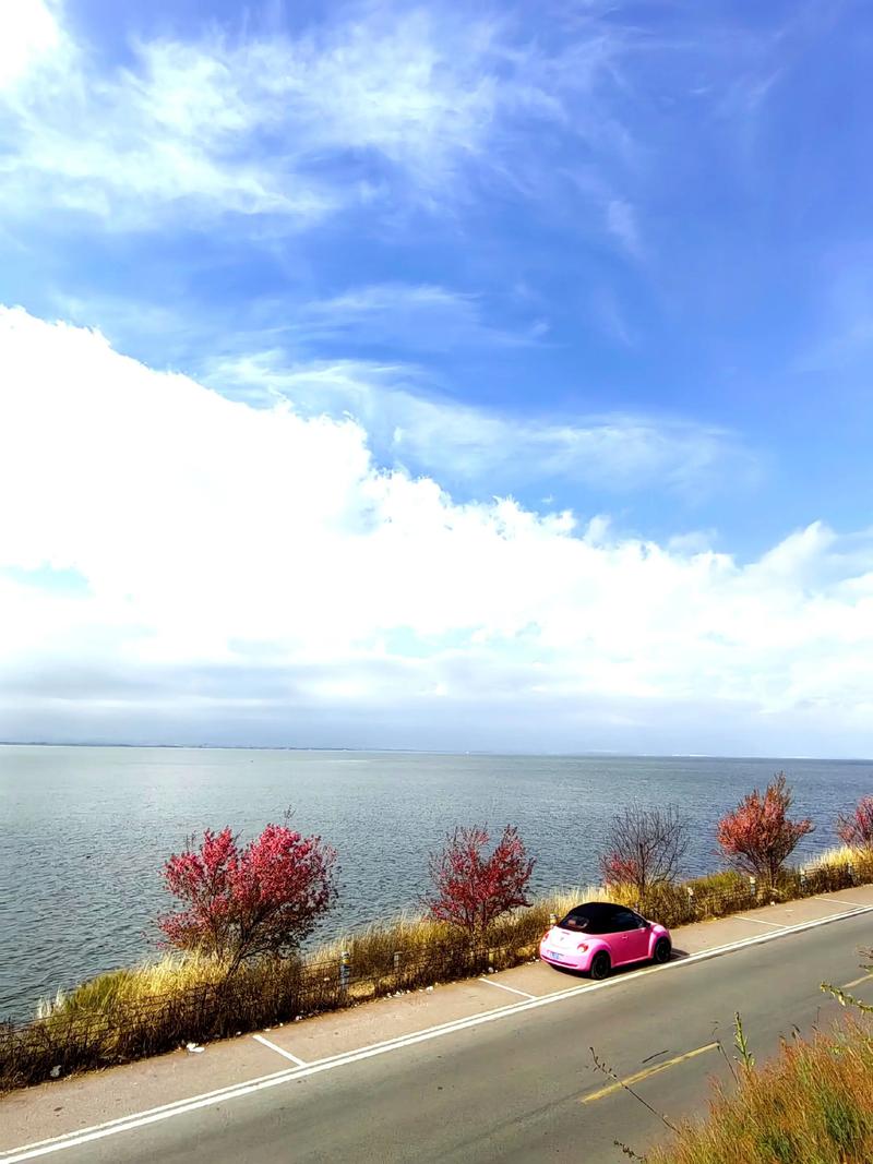 环海东路的孤独:在理想邦和文笔村之间,藏着一片荒滩