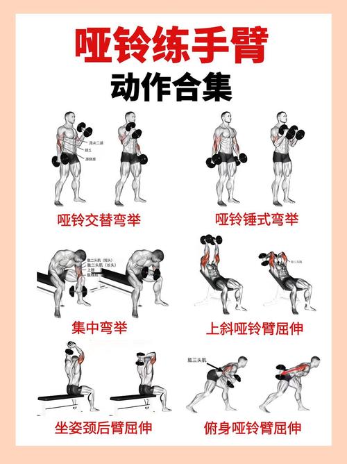 健身房渐变式重量递增训练示意图