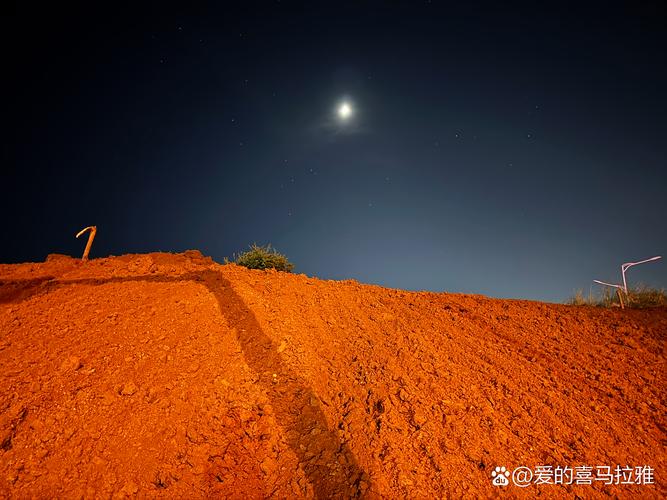 沙漠夜晚月光下的绿洲水渠特写