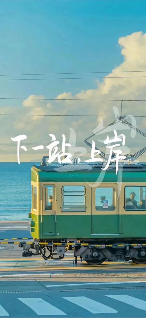 少数“上岸者”，他们做对了什么？