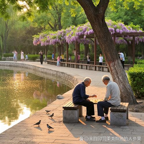 老人公园湖边对着水面放空说话放松场景