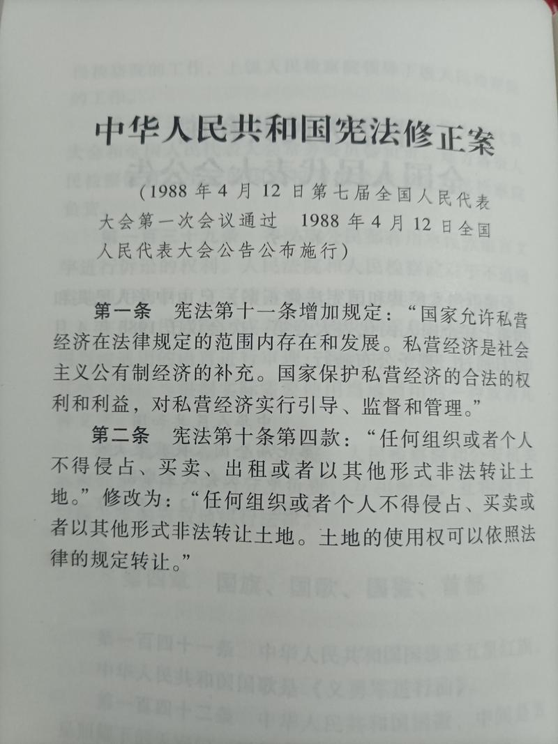 宪法辩护权条款文本放大特写