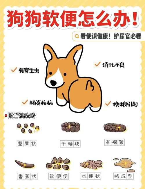 宠物换粮软便调整步骤参考图