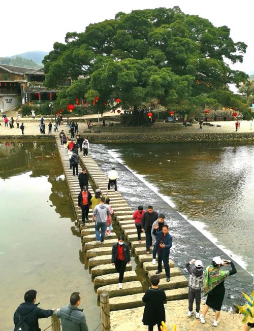 福建云水谣溪边大榕树土楼景观