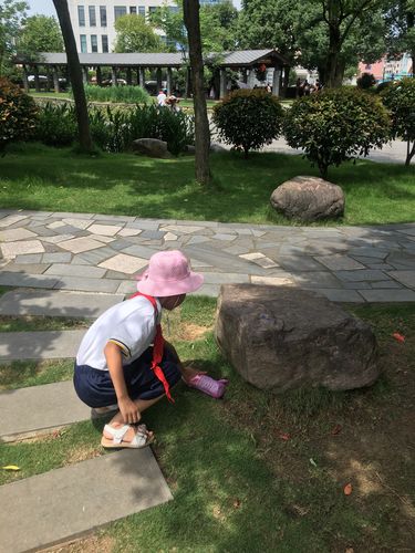 儿童蹲小区路边观察自然捡小物品场景