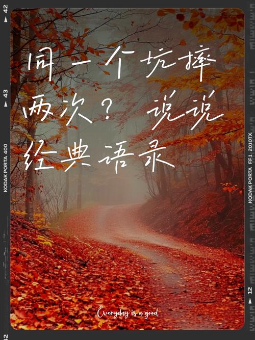 允许自己搞砸，但别在同一个坑里摔两次