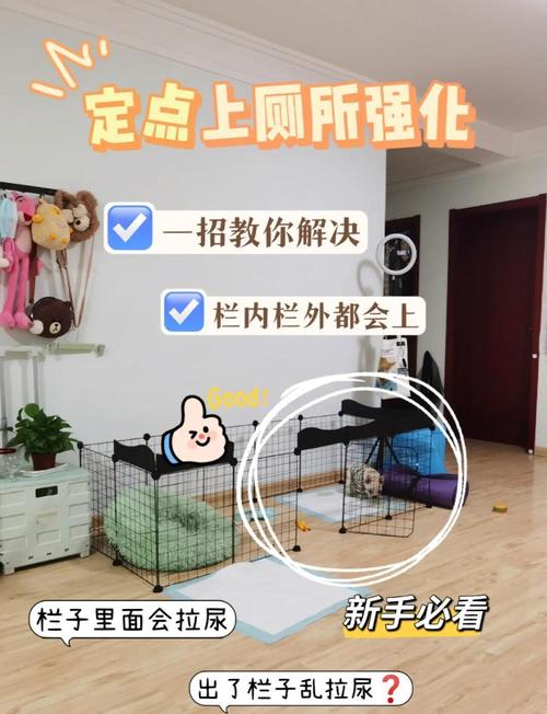 狗狗围栏定点排便训练日常场景