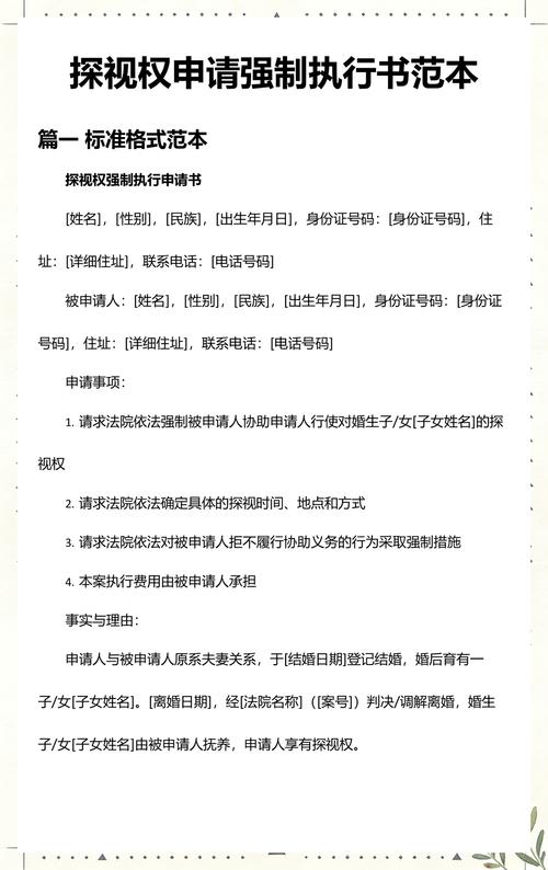 探视权案件被执行人失信决定书示例