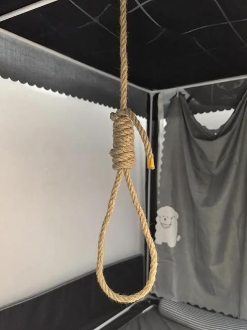那个绕不开的死结，全行业都在装瞎