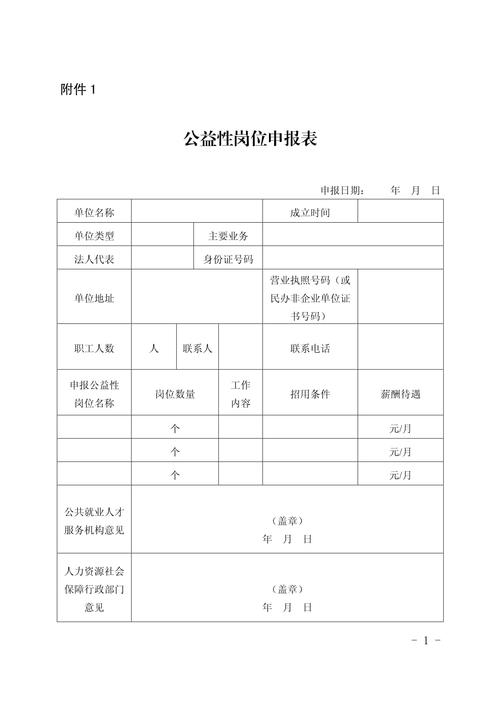 应届生公益性岗位报考条件说明表