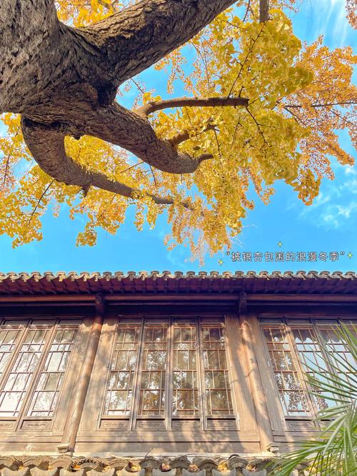 南漳荆山法门寺古银杏院子