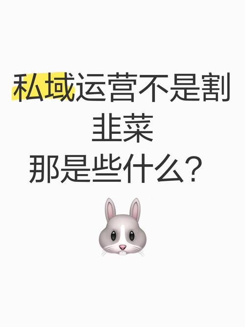 为啥私域突然火了？真不是割韭菜？
