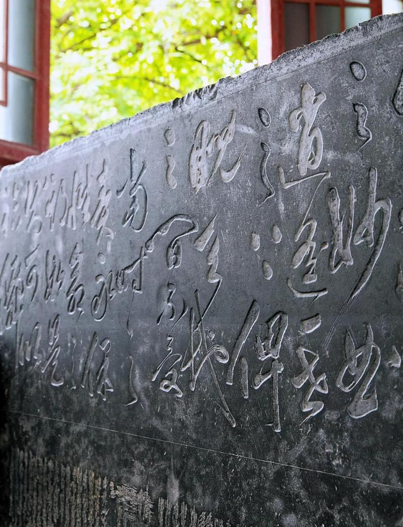 三、碑林博物馆的后墙根：与千年石头共享荫凉