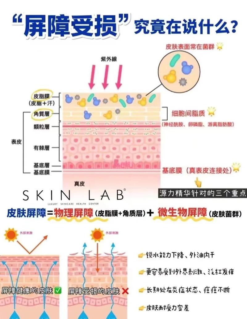 宠物皮肤油脂屏障受损示意图