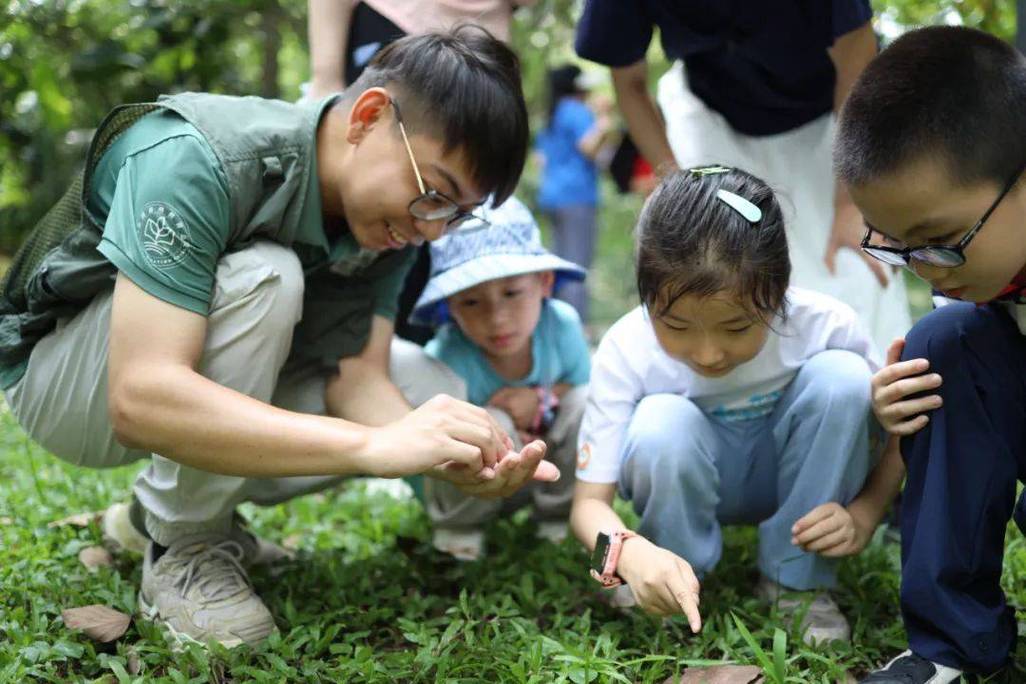 小学户外跨学科教学学生观察植物昆虫