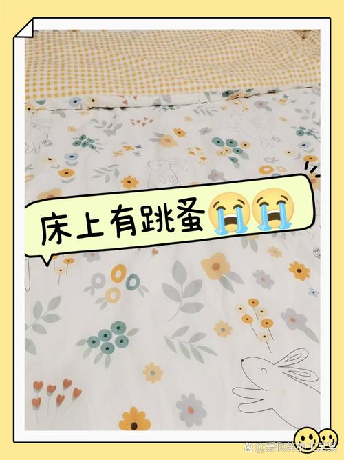 第一步：清空，全部摊在床上