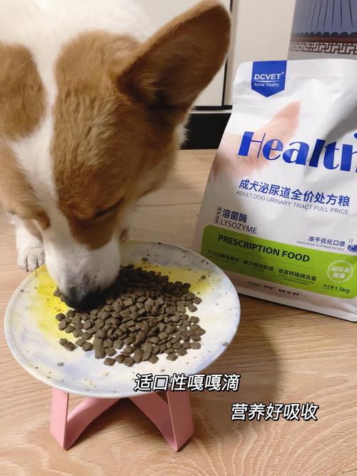 养宠主人给柯基碗里倒处方粮