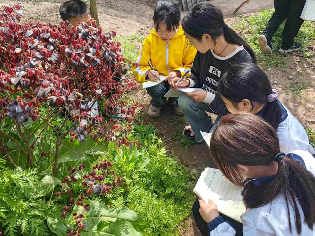 中学生研究性学习小组校园植物调查现场
