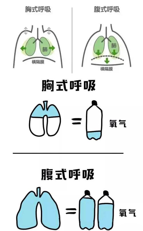 长期焦虑人士胸部呼吸vs腹式呼吸对比示意图