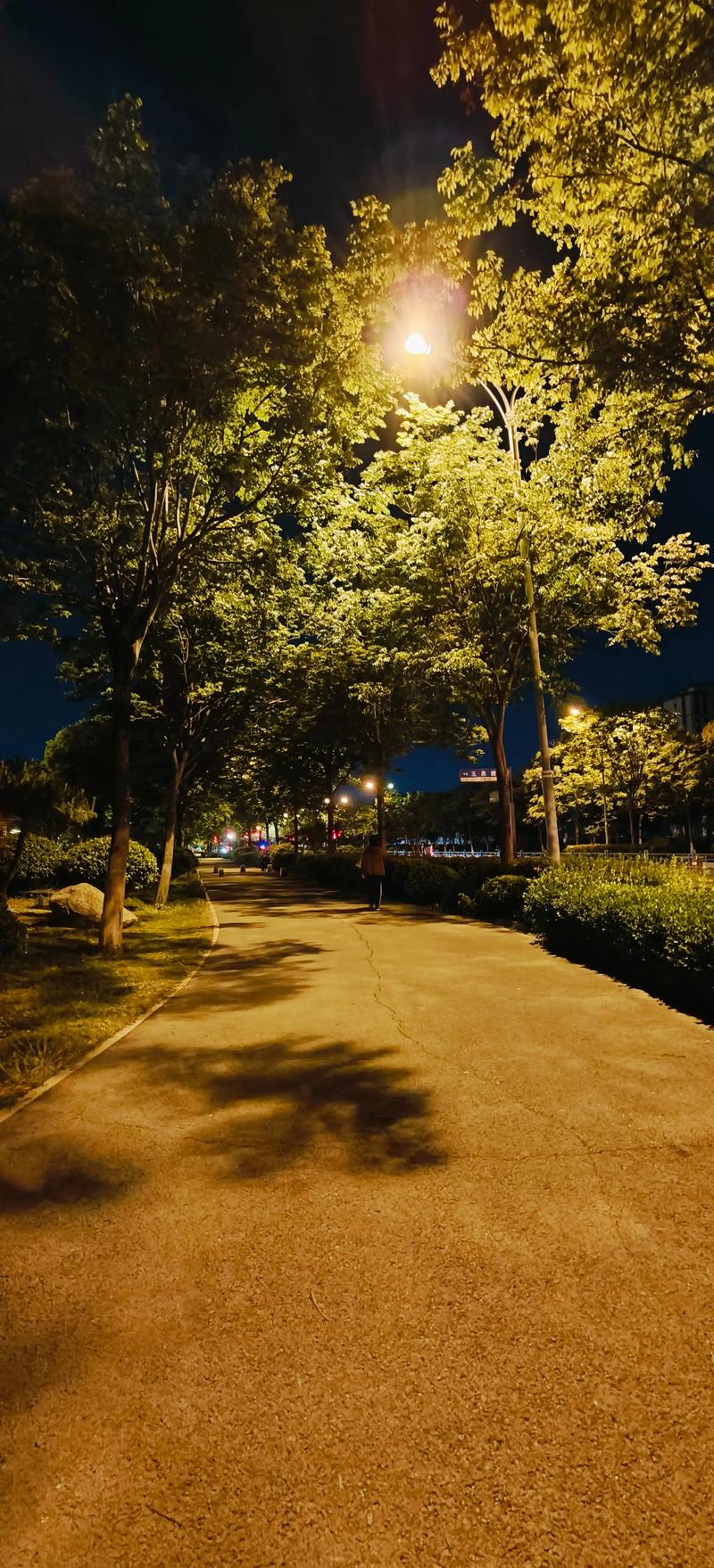 傍晚公园散步的安静小路