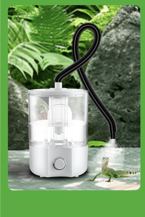 宠物活动区加湿器摆放位置无精油实拍