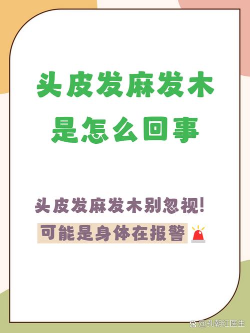 铃铛：我从一个杂货铺开始，追到了两千年前的响声-因为所以