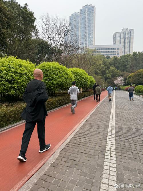 城市公园林荫道市民步行锻炼场景