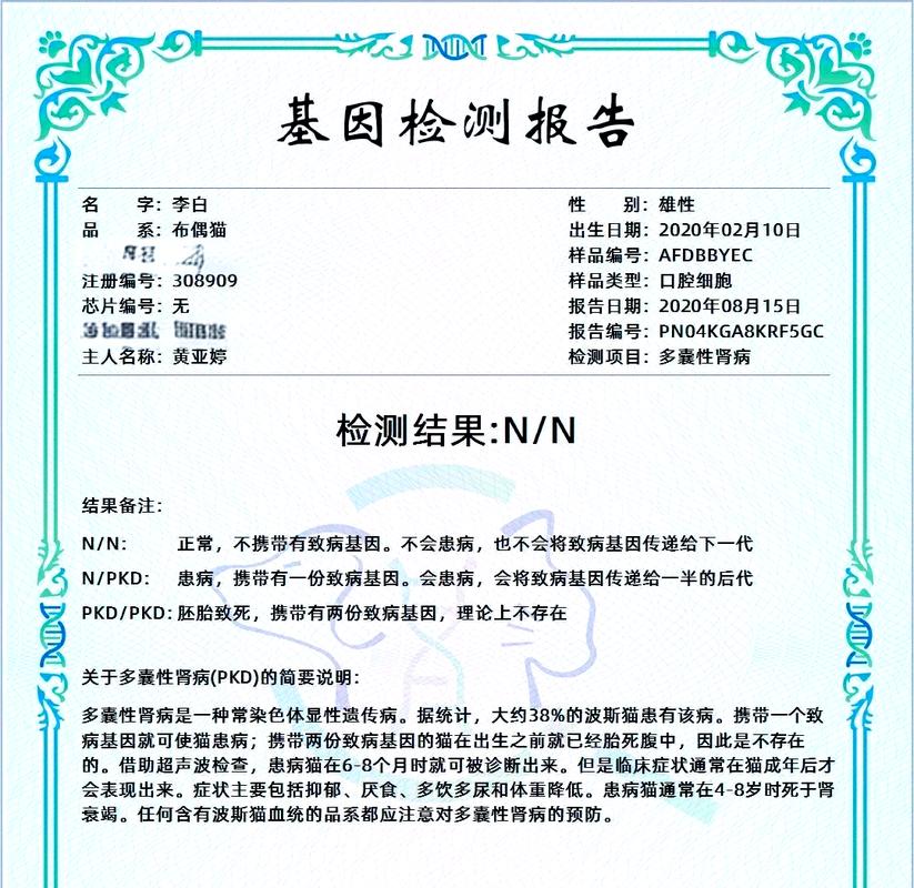 猫咪配种前基因检测报告样本