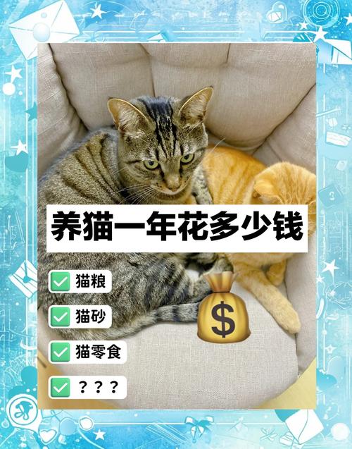 普通养宠人，怎么避开没必要的开支