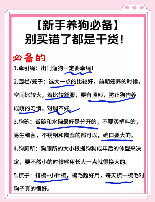 给所有养狗人的几条实在建议
