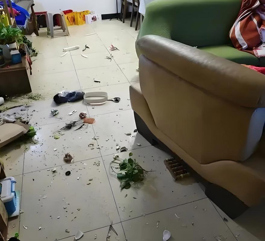 家庭遗产分配争执现场实拍