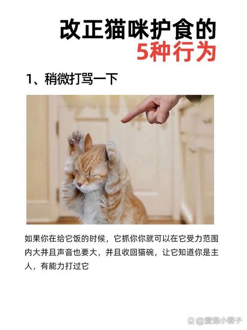 零打骂的护食训练，核心就一件事
