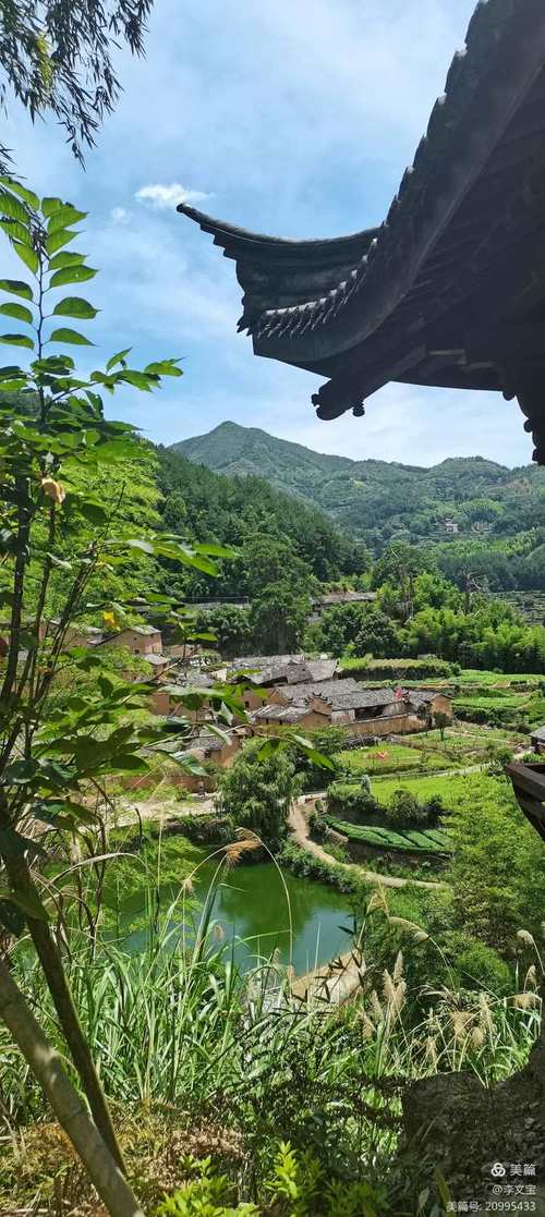 松阳保仁堂天井青苔沾露反光全景