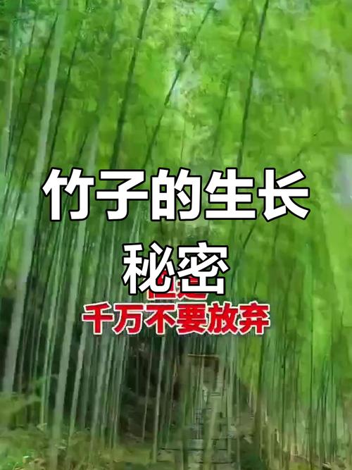 未来三到五年：不会爆发，但会扎根