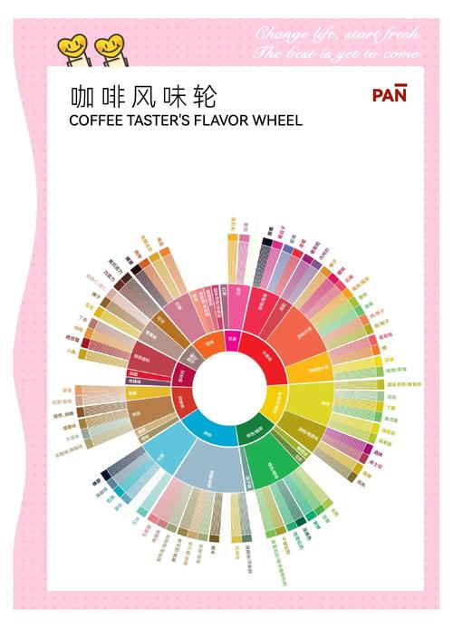 精品咖啡风味轮中文版图解