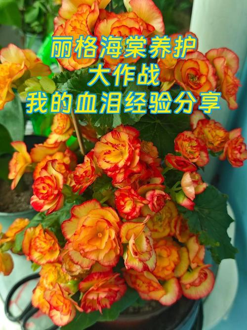 养护实战：血泪经验