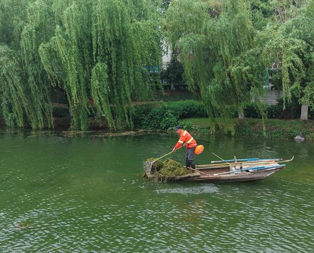 最好的塑造，是顺着水的流向清障